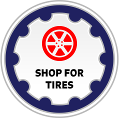 tire catalog for passenger car and light truck tires